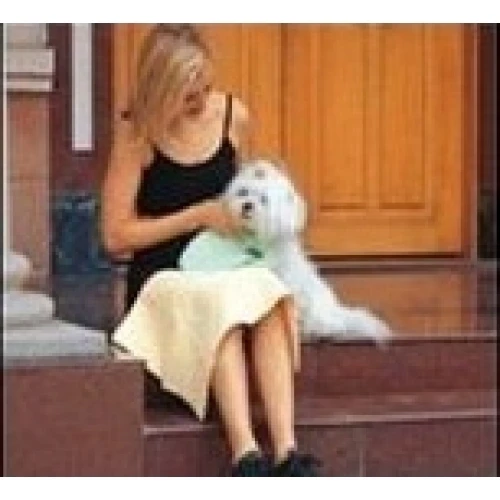 GroomTech SuperDry Chamois / Shammy / Towel - Large Size 4 GroomTech SuperDry Chamois / Shammy / Towel - Large Size - Image 2