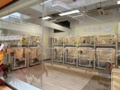 Smart Dog Cabin M01 Pro -ARTERO Sales Store PI M01Pro