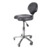Groomer's Stool With Back With Planetary Casters -ARTERO Sales Store S GC001SW