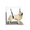 Show Tech Comfort Belly Strap For Small Dog -ARTERO Sales Store ST 90799