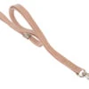 Show Tech Grooming Noose Rose Gold 60cm X 1cm -ARTERO Sales Store ST 94713