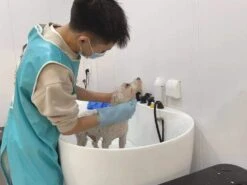 Aeolus Acrylic Bathing Tub With Faucet And Sprayer Kit - Free Booster -ARTERO Sales Store T BTF1200DB 3