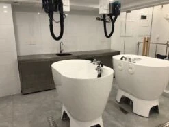 Aeolus Acrylic Bathing Tub With Faucet And Sprayer Kit - Free Booster -ARTERO Sales Store T BTF1200DB 5