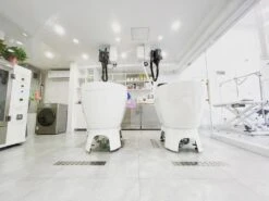 Aeolus Acrylic Bathing Tub With Faucet And Sprayer Kit - Free Booster -ARTERO Sales Store T BTF1200DB 6