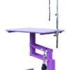 Aeolus Classic Z Shape Electric Lifting Table - Medium [Purple] -ARTERO Sales Store T FT802E PP