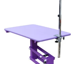 Aeolus Classic Z Shape Electric Lifting Table - Medium [Purple] -ARTERO Sales Store T FT802E PP 2