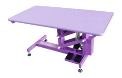 Aeolus Classic Z Shape Electric Lifting Table - Medium [Purple] -ARTERO Sales Store T FT802E PP 4