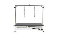 Aeolus Low-Low Electric Lifting Table Eco Version -ARTERO Sales Store T FT808 ECO 2