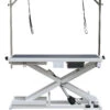 Aeolus Low-Low PRO Electric Lifting Table With Air Switch -ARTERO Sales Store T FT808Pro A