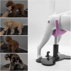 Aeolus Dog Grooming Stand / Saddle For Holding Dogs -ARTERO Sales Store T FT8108SD S 4