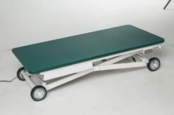 AEOLUS Electric Competition Table 10 AEOLUS Electric Competition Table -ARTERO Sales Store T FT833E 2