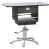 Aeolus Japanese Style Hydraulic Grooming Table