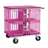 Aeolus 4-Berth Show Trolley With 6" Rubber Wheels - Large [Pink] -ARTERO Sales Store T KB511NAF PK Kit6W