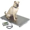 Stainless Steel Walk On Animal Scale [Medium] -ARTERO Sales Store T WOS3624