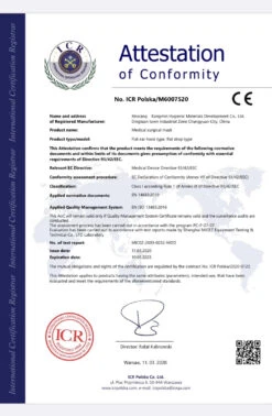 Kangmin Anti-Virus Protective Medical Surgical Face Mask 20pc -ARTERO Sales Store X KMSFM20 1