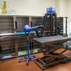 XPower Pro Finishing Plus Anionic Stand Dryer B18 14 XPower Pro Finishing Plus Anionic Stand Dryer B18 -ARTERO Sales Store XP B18 5