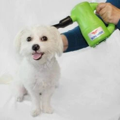 XPower Airrow Pro Dryer Air Pump Duster Blower B53 [Green] -ARTERO Sales Store XP B53 GR 4